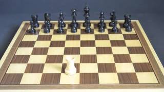 How Chess Pieces Move [upl. by Reema]