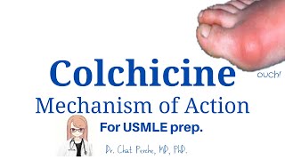 Understanding Colchicine Mechanism Study Breakdown 【USMLE Pharmacology】 [upl. by Rhpotsirhc]