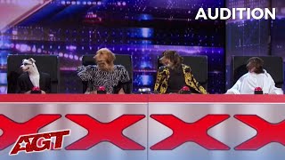 Canine Stars HILARIOUS DOGS Replace The AGT Judges on Americas Got Talent [upl. by Enerahs769]