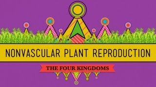 The Reproductive Lives of Nonvascular Plants Alternation of Generations  Crash Course Biology 36 [upl. by Nodroj954]