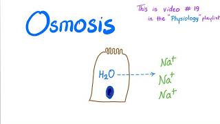 Osmosis  Physiology [upl. by Trubow]