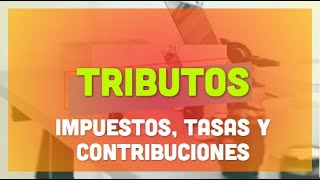 Tributos  Impuestos Tasas y Contribuciones [upl. by Aliakim]