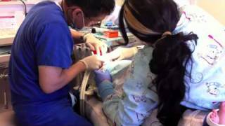 My First Dental Procedure 42811 [upl. by Ander]