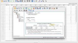 How to use SPSS for ICC calculation [upl. by Obau]