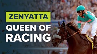 ZENYATTA HORSE RACINGS DANCING QUEEN [upl. by Tronna]