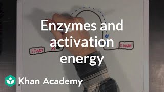 Enzymes and activation energy  Biomolecules  MCAT  Khan Academy [upl. by Sunshine550]