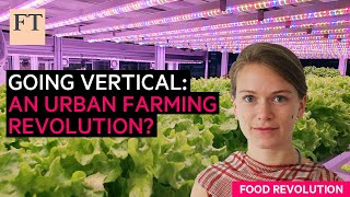 Vertical farming a future way to feed urban populations  FT Food Revolution [upl. by Emee]