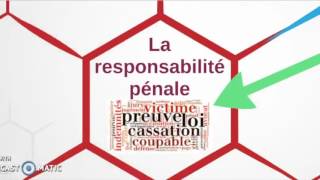 Responsabilité pénale [upl. by Hegarty]