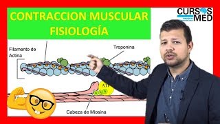 CONTRACCIÓN MUSCULAR FISIOLOGÍA GUYTON explicada FACIL ✅ [upl. by Aiuqenehs]