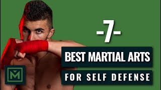 7 Best Martial Arts  Deadly Fighting Styles for Self Defense [upl. by Gervais]