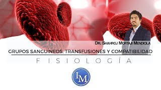 Fisiología  Grupos Sanguíneos  Transfusiones y compatibilidad [upl. by Eitnom6]