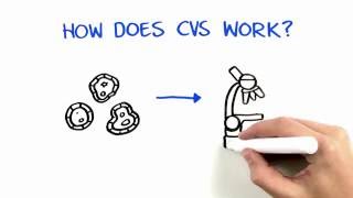 Chorionic Villus Sampling CVS [upl. by Tarah]