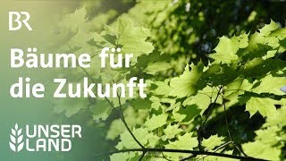 Bäume für die Zukunft  Unser Land  BR Fernsehen [upl. by Doe181]