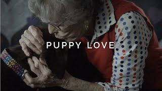 Puppy Love  Dog Kisses Cuddles and Licks in Slow Motion [upl. by Zweig]