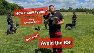 The different types of GERMAN SHEPHERD [upl. by Raymond]