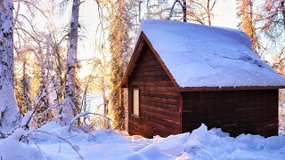 Off Grid Cabin in the Alaskan Wilderness [upl. by Anelat]