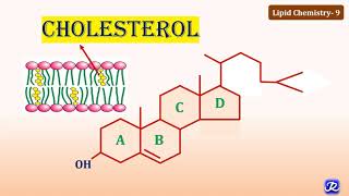 The Most Powerful Foods That Will Lower Your Cholesterol Quickly Safely amp Naturally [upl. by Weingarten]