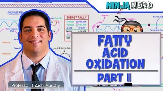 Metabolism  Fatty Acid Oxidation Part 2 [upl. by Amalbergas]