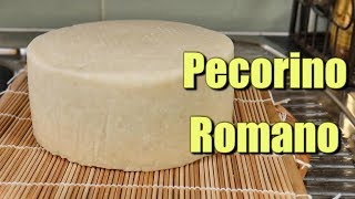 How to make Pecorino Romano at home using Raw Milk [upl. by Sandstrom614]