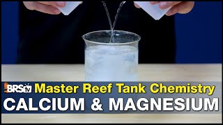 Master Reef Tank Calcium amp Magnesium Going Beyond the Right Levels and Preventing Precipitation [upl. by Fairlie]