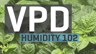 Humidity 102 Vapor Pressure Deficit — VPD Chart [upl. by Aneladgam]