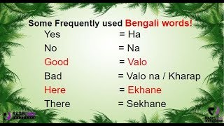 Learn Some Frequently Used Bengali Words in English Part 1 [upl. by Rema44]