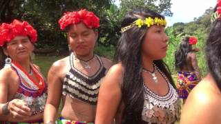 Tour of the Embera Indigenous Community in Panama [upl. by Bucher]