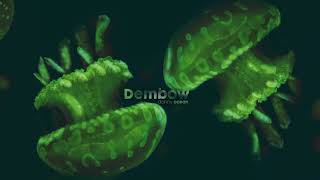 Danny Ocean  Dembow Official Audio [upl. by Darwen]