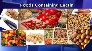 Lectins The New Diet Enemy [upl. by Carole]