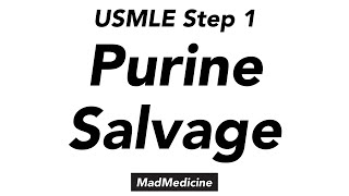 Purine Salvage  Biochemistry  USMLE Step 1 [upl. by Jacques57]