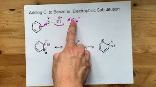 Adding Cl to Benzene Electrophilic Substitution [upl. by Pacien]