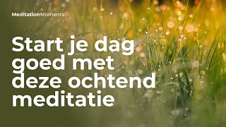 Heerlijke geleide ochtend meditatie  Michael Pilarczyk  Meditation Moments  Mindfulness [upl. by Atrebor]