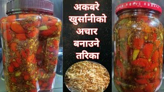 अकबरे खुर्सानीको मसलावाला अचार  Akabare Khursaniko Achar  Recipe [upl. by Malanie451]