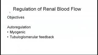 Renal Autoregulation [upl. by Ahsienek740]