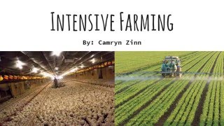 Intensive farming [upl. by Aneeles]