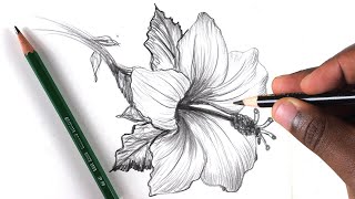 How To Draw A Flower Step by Step In 10 Minutes [upl. by Astraea860]