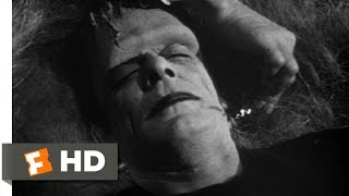 Dracula Wakes Frankenstein Scene 411 Abbott and Costello Meet Frankenstein Movie 1948  HD [upl. by Nymsaj]