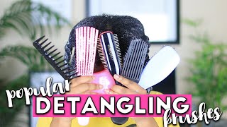 Which Detangling Brush Works BEST on TYPE 4 HAIR [upl. by Lyons]