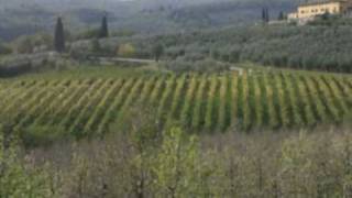 Figline Valdarno [upl. by Bev]