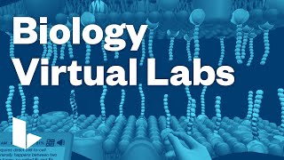 Labster Biology Virtual Labs [upl. by Francyne371]