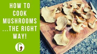 How To Cook Mushrooms The Right Way  GroCycle [upl. by Ecydnak]