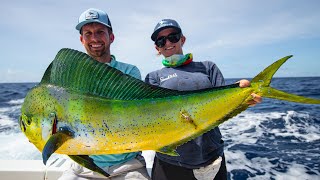 Deep Sea Fishing in Miami Dolphin Wahoo Amberjacks and Tripletail [upl. by Lehcim373]