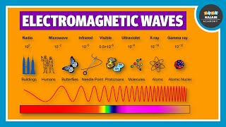 Electromagnetic Waves  Physics [upl. by Ocsecnarf]