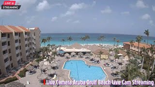 🌸 Live Camera Aruba Druif Beach Live Cam Streaming 🌸 [upl. by Halpern700]