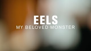 Eels  My Beloved Monster Live at The Current [upl. by Aileahcim]