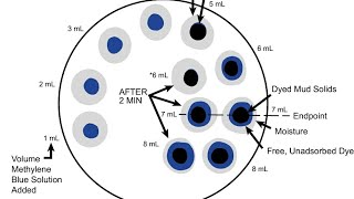 11 Methelene Blue Test MBT [upl. by Sandon]