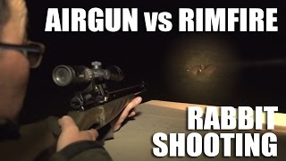 Airgun vs Rimfire [upl. by Amsirac632]