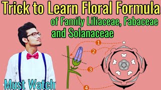 Trick to Write Floral Formulas of Family Fabaceae Solanaceae amp Liliaceae  Morphology via NCERT [upl. by Ymer]