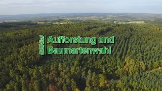 GENial 08  Aufforstung und Baumartenwahl [upl. by Ayarahs443]