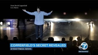 David Copperfields famous vanishing crowd trick revealed in court  ABC7 [upl. by Cerelly]